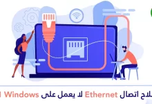 إصلاح اتصال Ethernet لا يعمل على Windows 11 طرق سريعة وفعالة